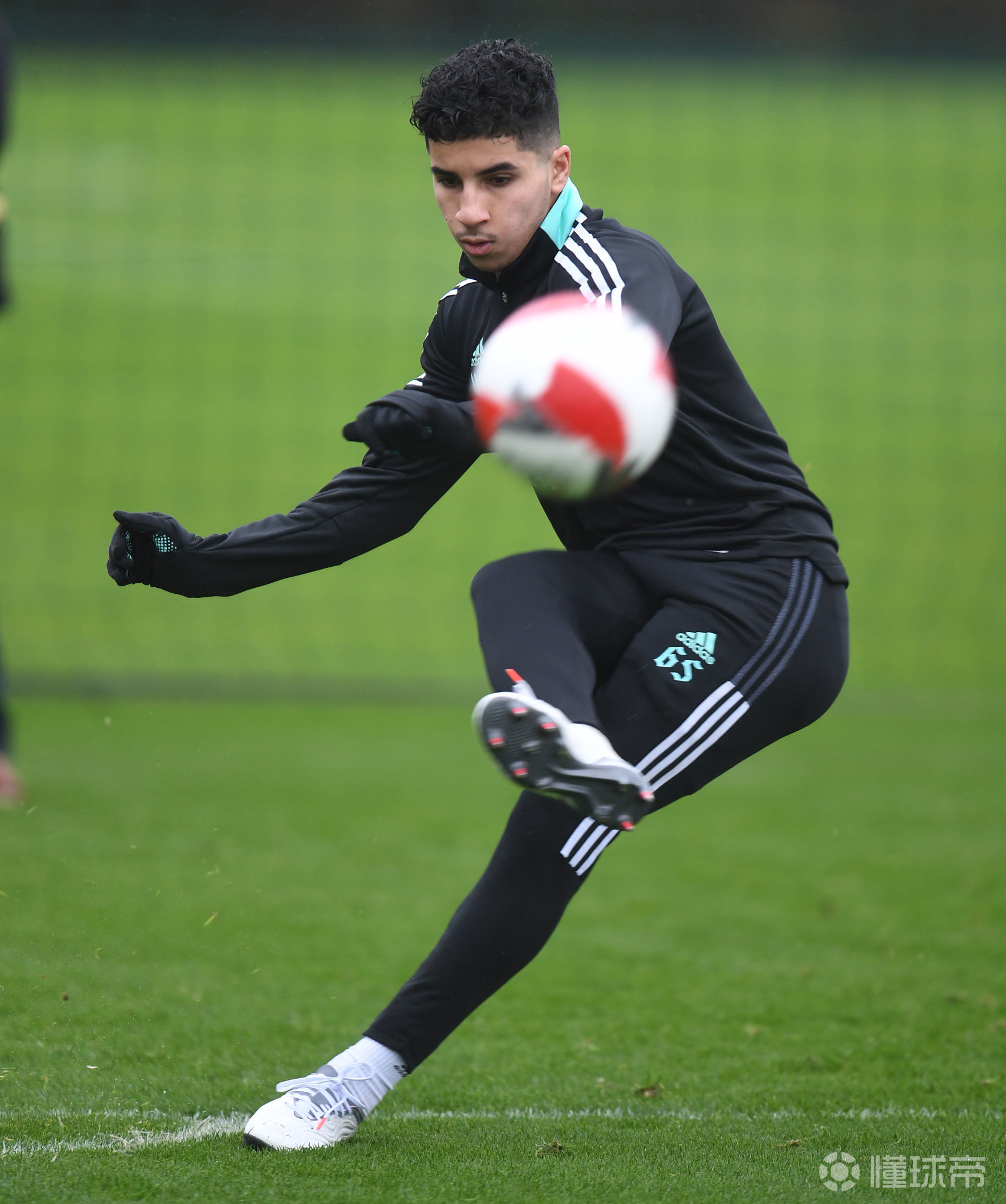 英雄联盟-关于转会期多伦多猛龙备战足总杯，外线爆发细节曝光，震撼外界，高层口径保持一致的信息