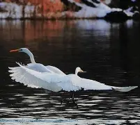 英雄联盟S15比赛时间-R淋S9铔搹_?櫻崃?JO2鈎z'溼!蚒